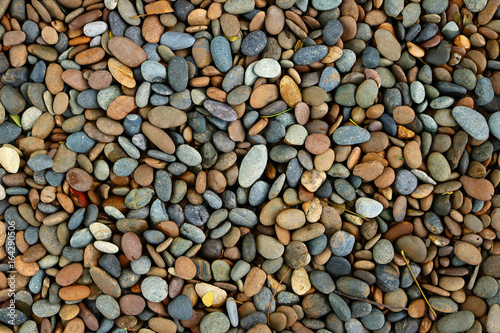 pebble stones in the garden