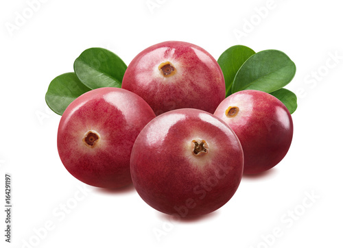 Cranberry group isolated on white background