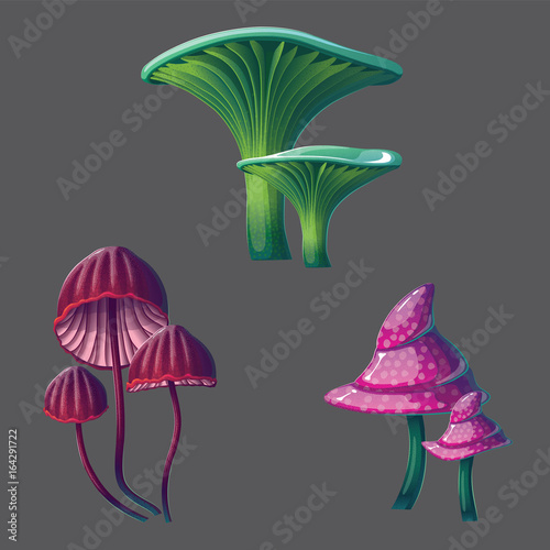 A high quality fantasy mushrooms set.
