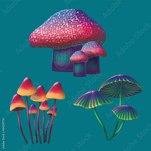 A high quality fantasy mushrooms set.