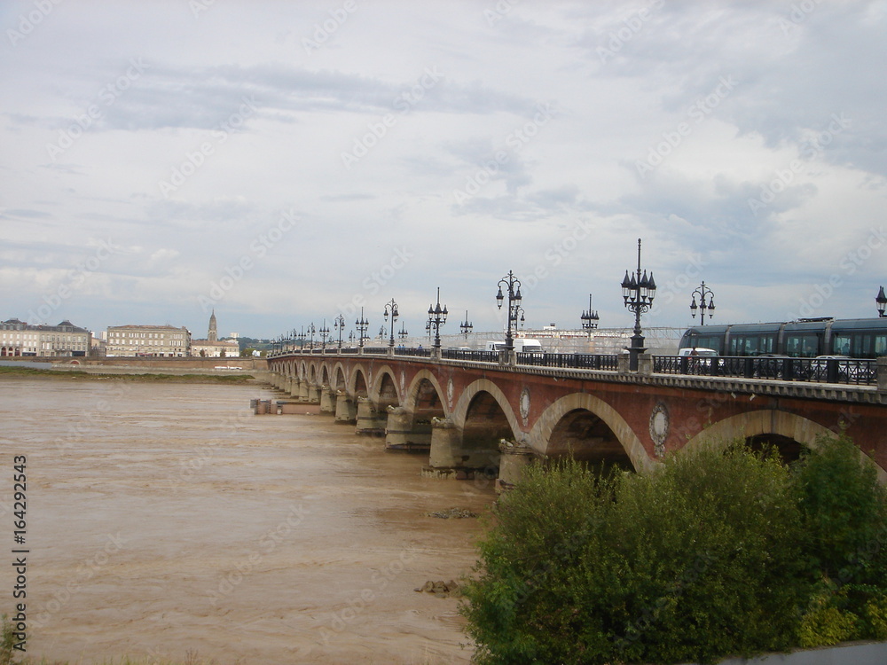 Fototapeta premium Gersey