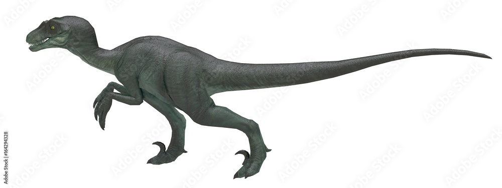velociraptor running pose left side 3d rendering velociraptor running pose left side 3d rendering