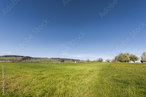 Swiss landscape with meadows