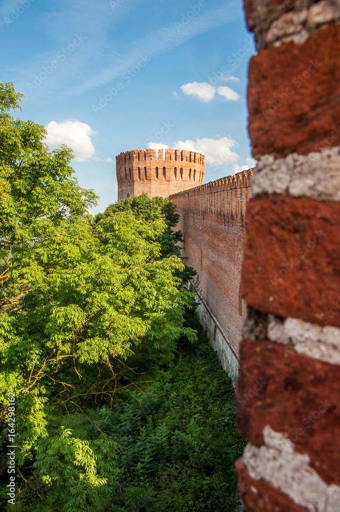 A vertical view at the Orel tower of the Smolensk Fortress with blurred bricks on the foreground