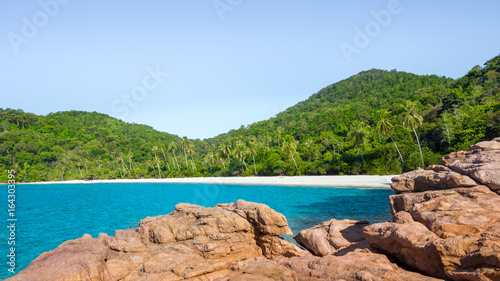beach rocks sea palms island