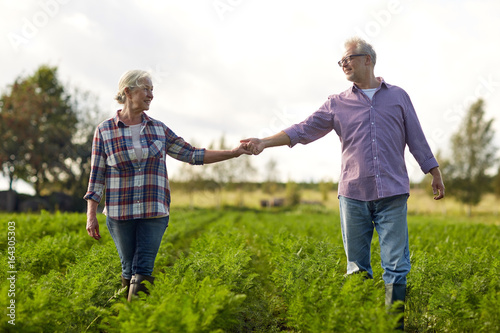 happy senior couple holding hands at summer farm