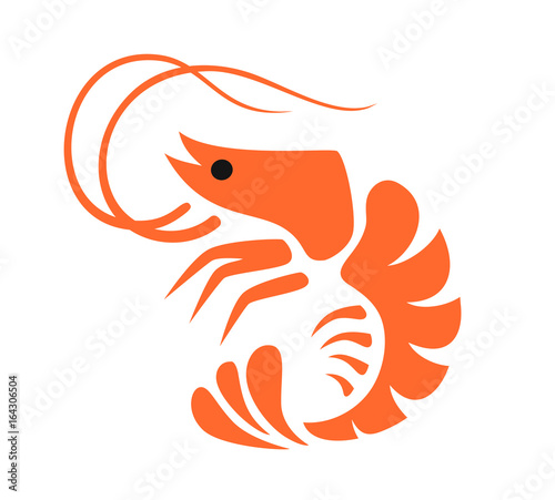 vector color prawn