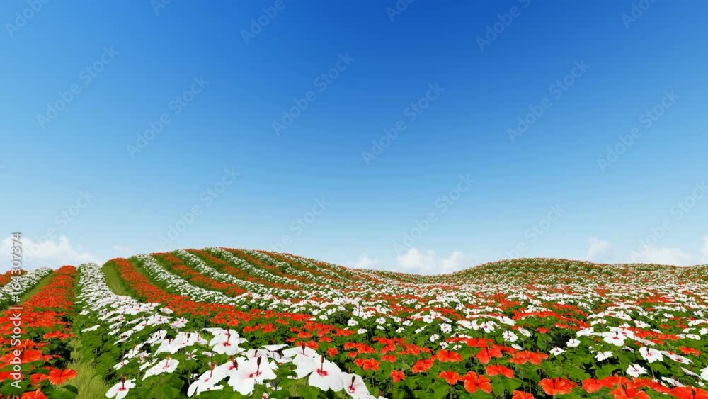 Animated flower field 3D render Animated flower field 3D render