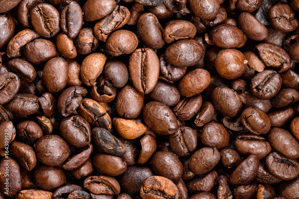 Detail of coffee bean Detail of coffee bean