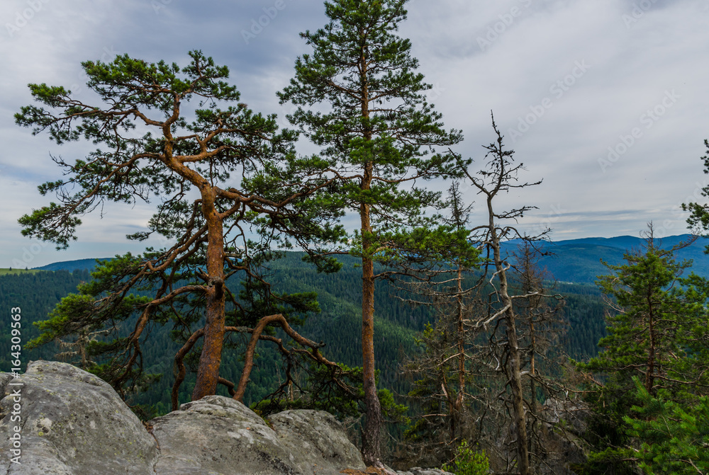 Carpathian mountains landscape view in Yaremche