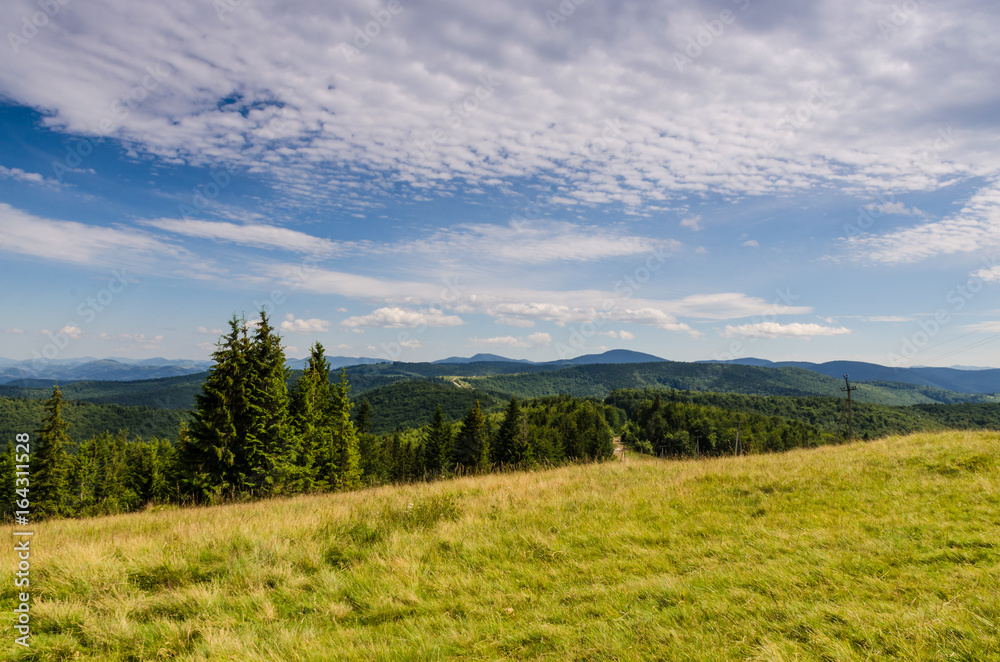 Carpathian mountains landscape view in Yaremche