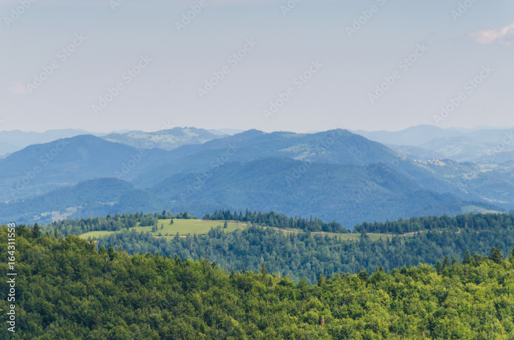 Carpathian mountains landscape view in Yaremche