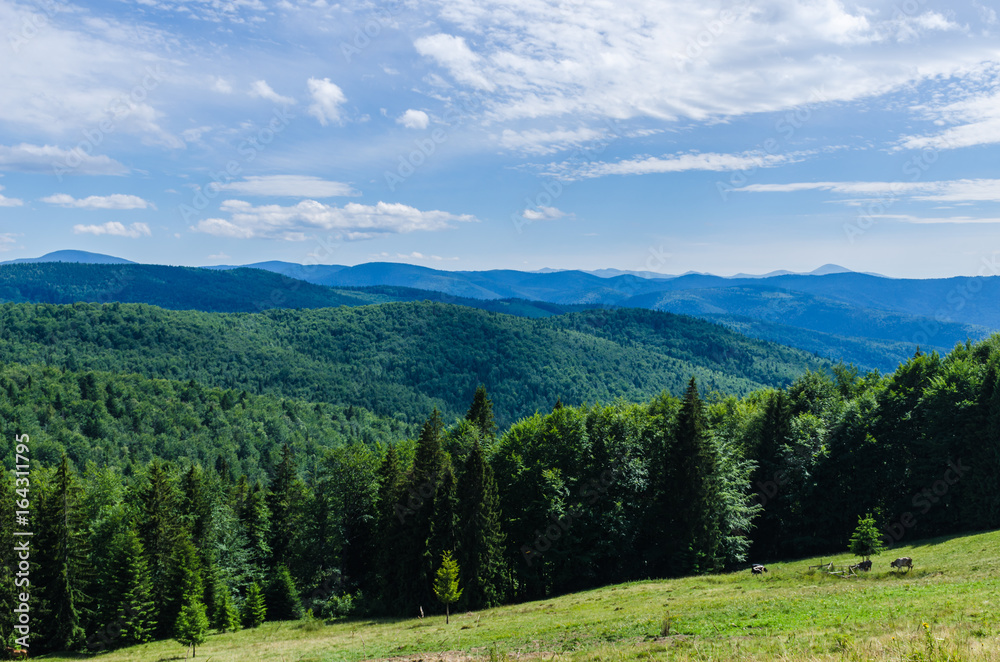 Carpathian mountains landscape view in Yaremche