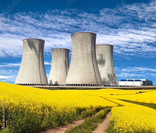 Nuclear power plant and field of rapeseed