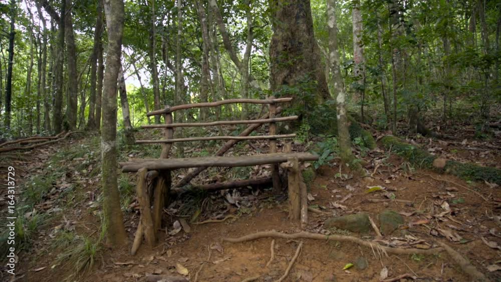 The camera films a wooden bench in the middle of the tropical forest of Mauritius. The camera films a wooden bench in the middle of the tropical forest of Mauritius.