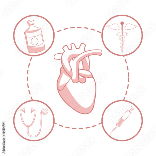 white background with red color sections of silhouette heart organ with circular frame elements health