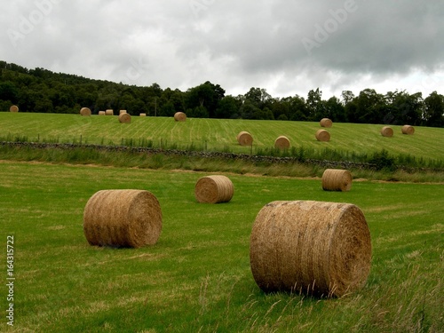 hay bales field