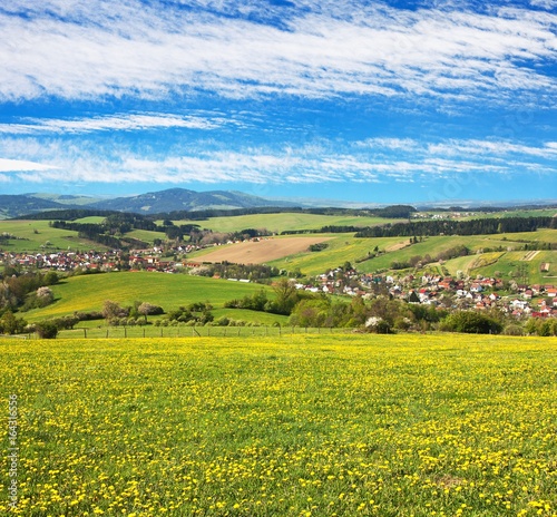 meadow ful of dandelions and beautiful clouds