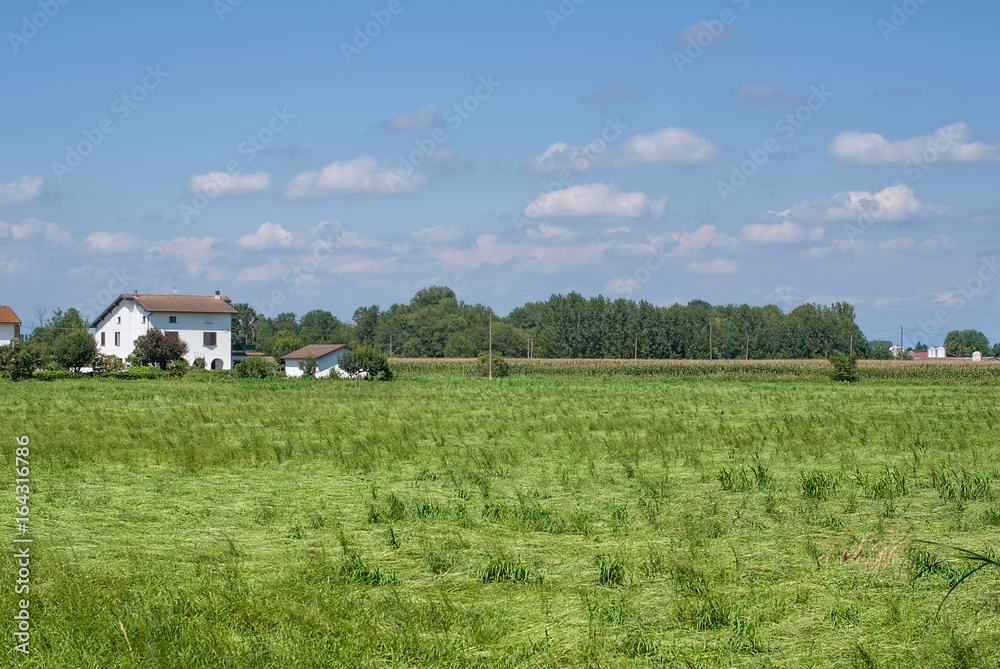 Obraz premium paesaggio di campagna