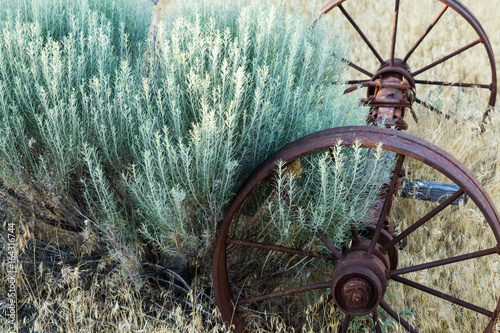 American Frontier: Wagon Wheels in the Wild West photo