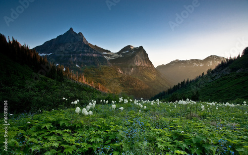 Mount Oberlin photo