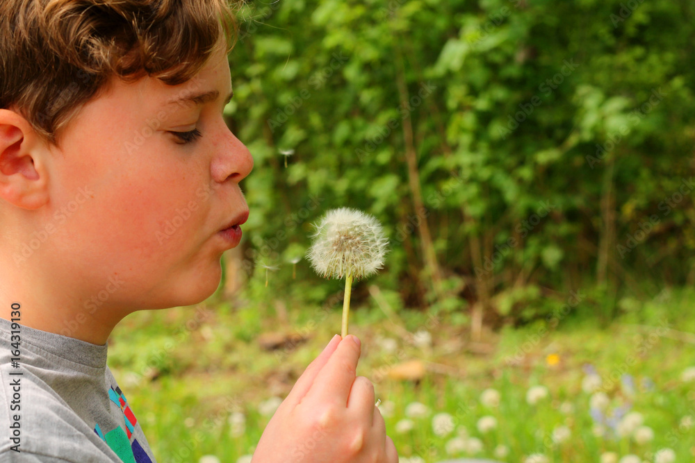 Child blowing at the seeds of a dandelion Child blowing at the seeds of a dandelion