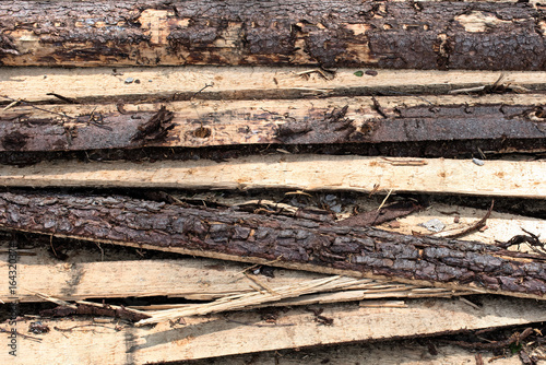 Background texture of felled pine boards