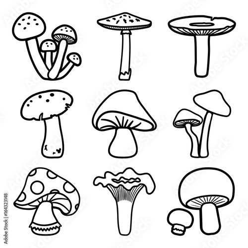 Black and white mushrooms set. Outline design. Different cartoon mushrooms. Vector illustration.