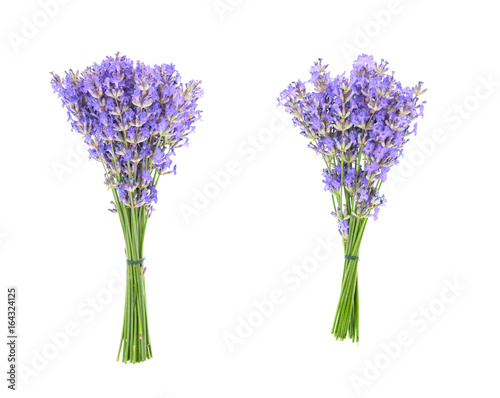 Fototapeta Naklejka Na Ścianę i Meble -  Two bouquets of lavender flower isolated on white background 