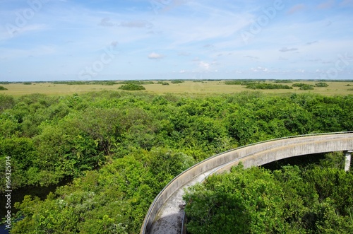 Shark valley dans les everglades