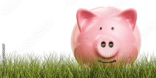 Piggy bank in the grass, 3D rendering