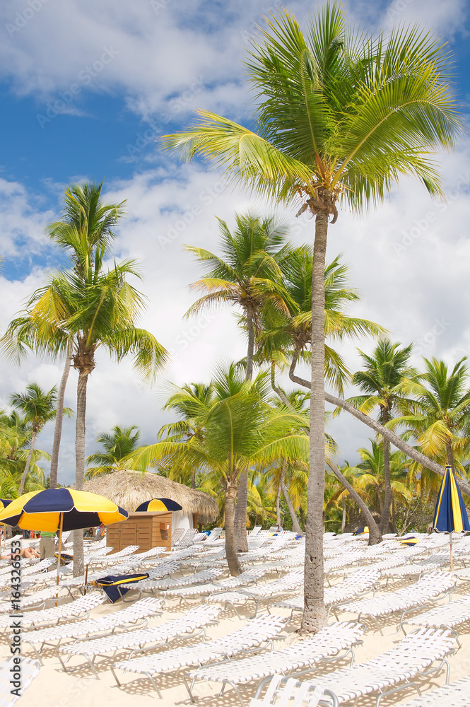 Catalina island - Playa de la isla Catalina - Caribbean tropical beach and sea