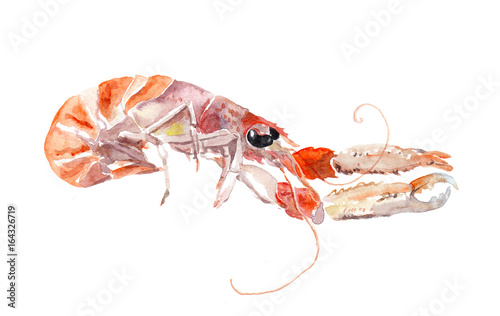 Red crayfish, crawfish, cray fish. Watercolor seafood photo