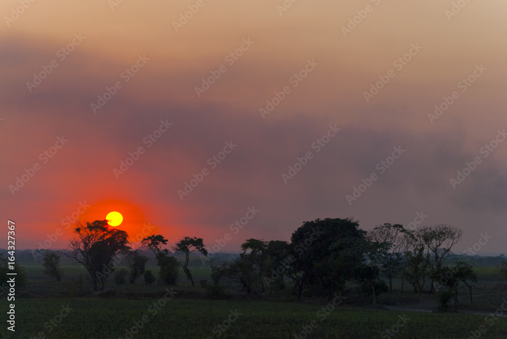 Sunset on Guatemalan coasts, sugarcane plantation and contaminated river