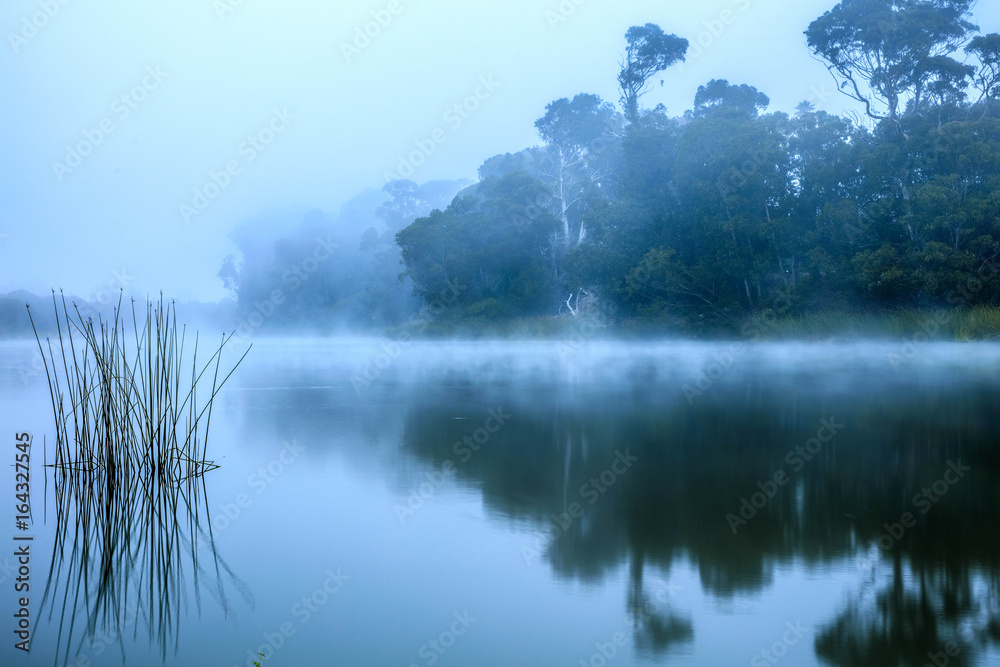 Fototapeta premium Misty Morning