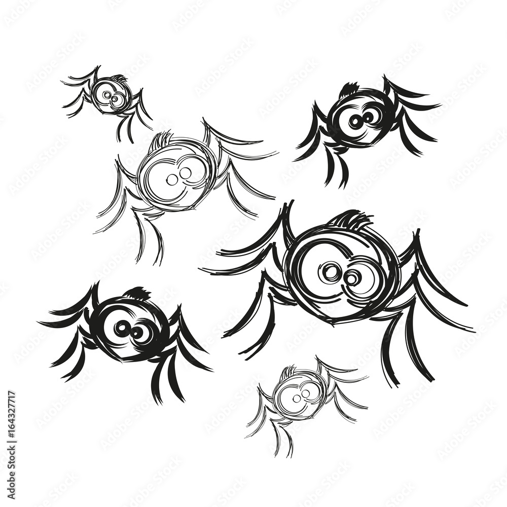Obraz premium black spider weighs