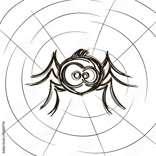 black spider weighs