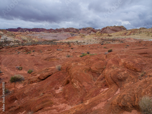 Amazing colors and shape of the Fire Wave rock