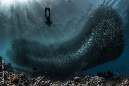 Scuba diving in Cebu, Philippines photo