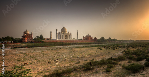 Canvas Print taj mahal, india