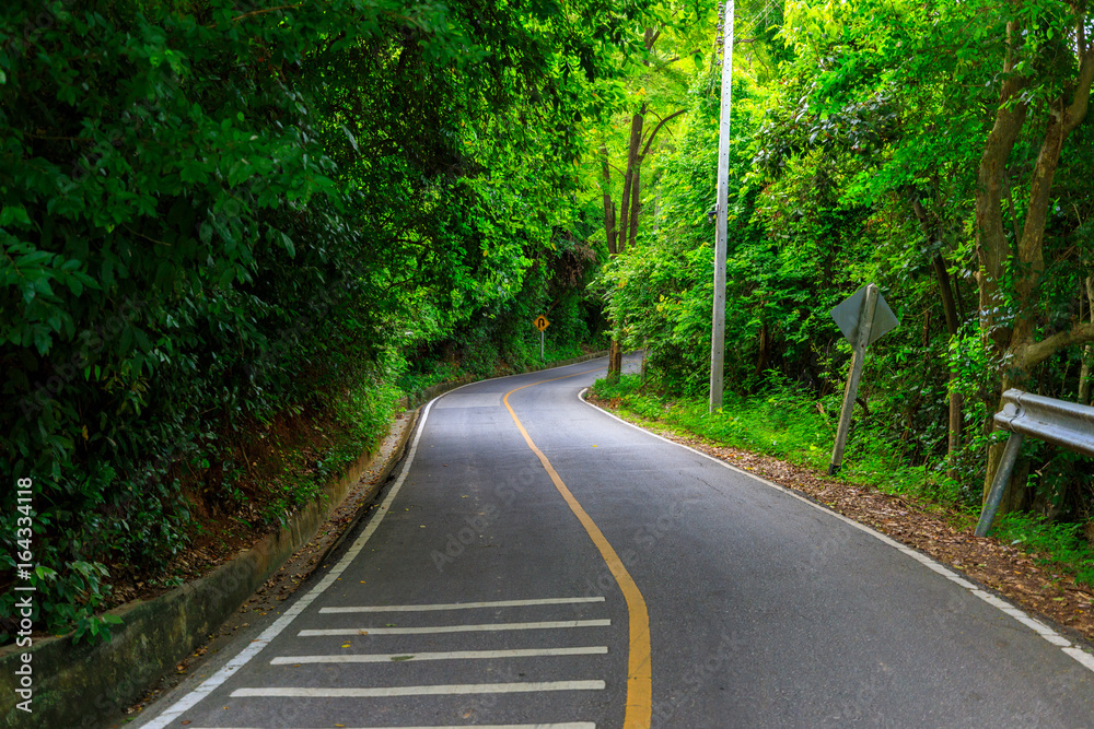 Obraz premium Beautiful Road in Forest