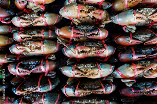 Serrated mud crab, Mangrove crab in seafood Market © decnui