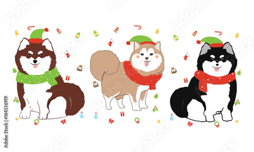 dogs wearing christmas costumes