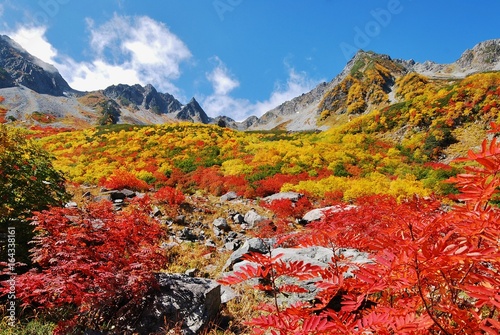 Karasawa valley - brilliant colors
