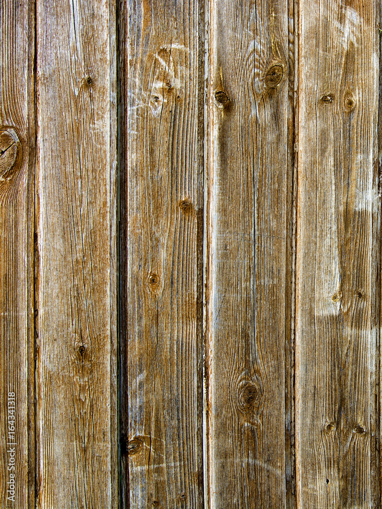 Fototapeta premium the texture is light unlikely tree Board