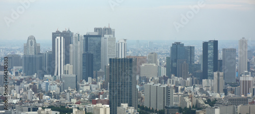 日本の東京都市景観(新宿の高層ビル群などを望む）