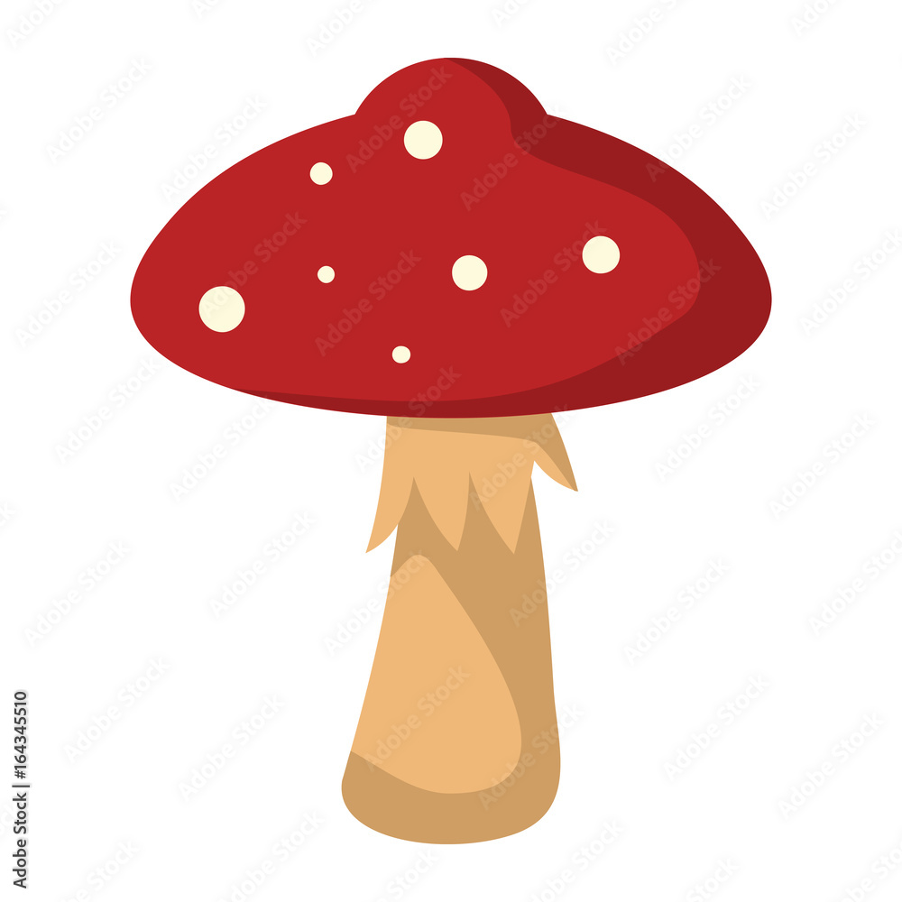 Mushroom Amanita with red hat on white background element for mushroom design and web