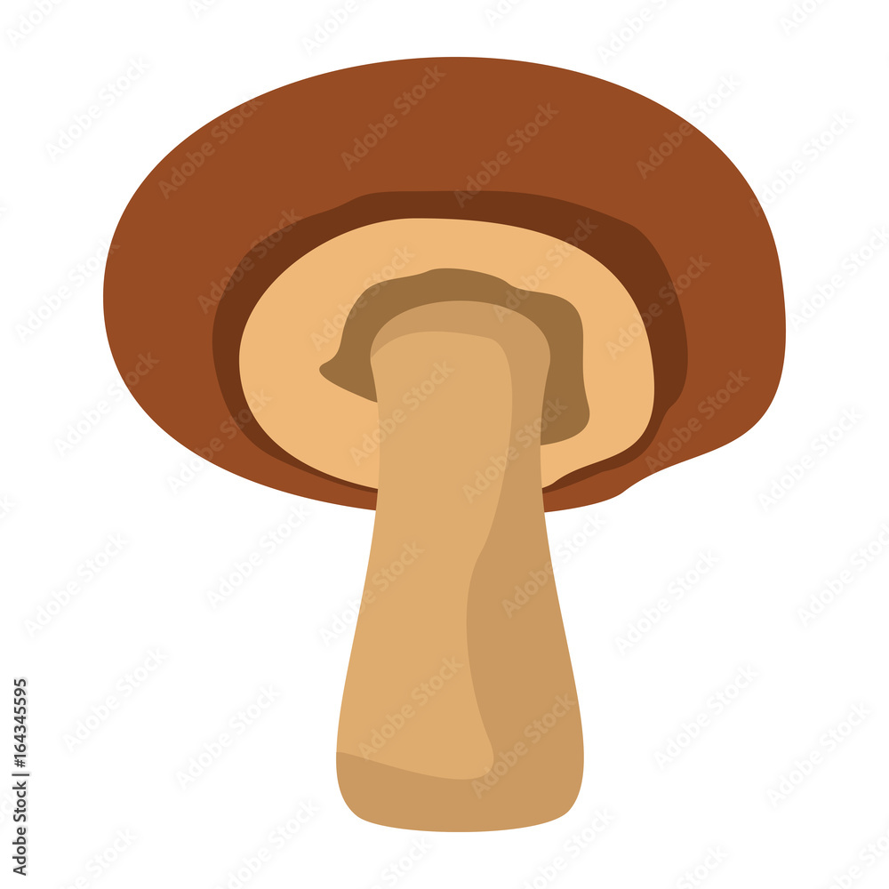Mushroom with brown hat on white background element for mushroom design and web