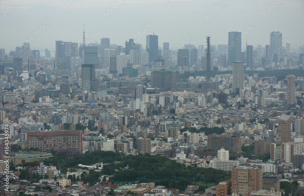 日本の東京都市風景（港区や新宿区方面などを望む）