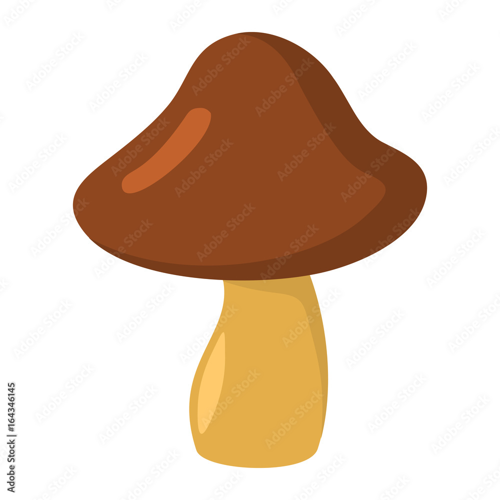 Mushroom with brown hat on white background element for mushroom design and web